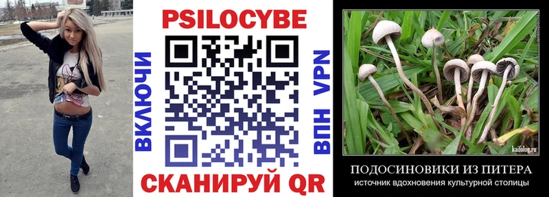 Галлюциногенные грибы Psilocybine cubensis  Купить  Вилюйск 